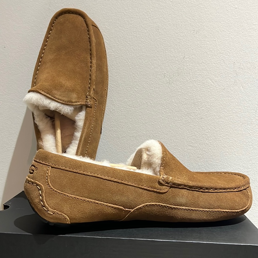 UGG MENS ASCOT CHESTNUT 9 M - BRAND NEW